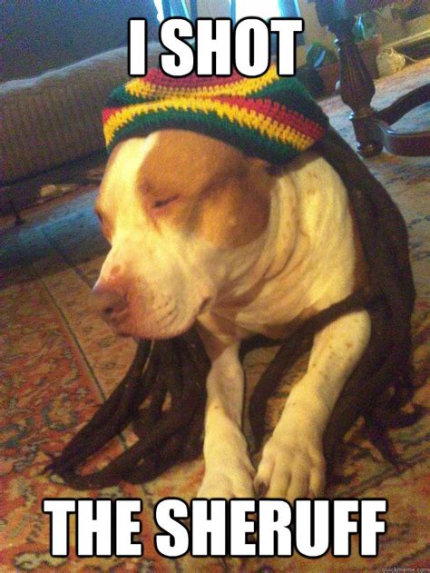 Rasta Dog memes | quickmeme
