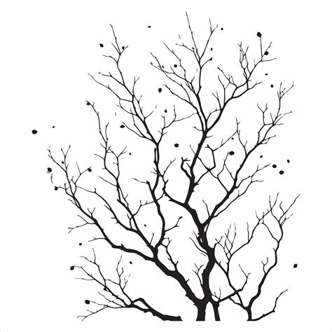 Minimal Autumn Naked Tree vector silhouette 36285884 Vector Art at Vecteezy
