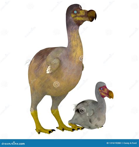Dodo Bird Stock Illustrations – 258 Dodo Bird Stock Illustrations ...