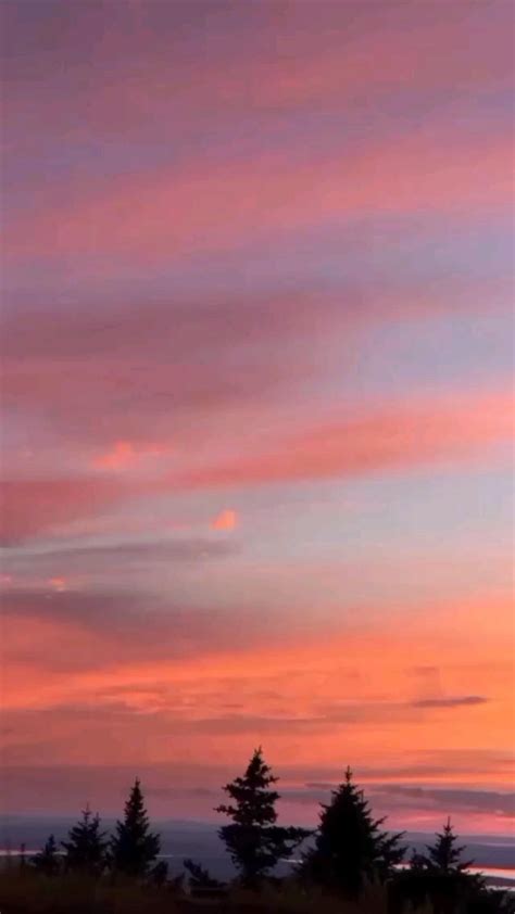 special person artofit