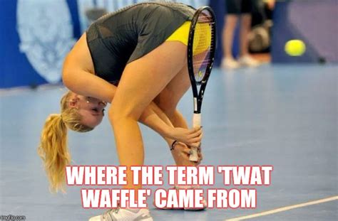 Image tagged in twat - Imgflip