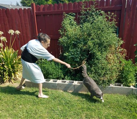 PsBattle: Old woman sooing a cat away : photoshopbattles