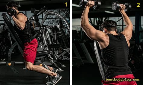5 Упражнений Для Плеч В Зале | Таких Вы Еще Не Делали | bestbodyblog.com