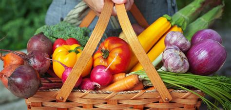 GMO hrana nije štetna za ljude i životinje - Domino