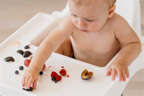 Baby Led Weaning guide and recipes from 6 months old