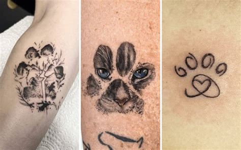 41 Adorable Paw Print Tattoo Designs To Honour your friend.