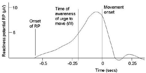 The Libet Experiment and its Implications for Conscious Will ...