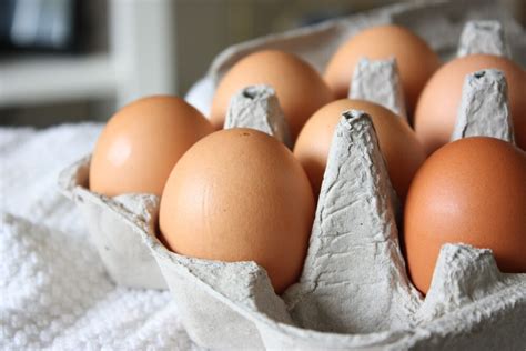 Egg Farmers of Canada launches enviro sustainability tool - Poultry World