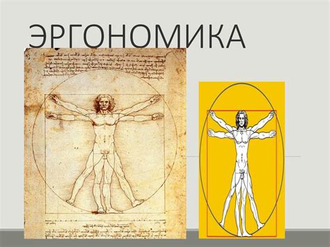 Эргономика. Этапы развития эргономики. Эргономические исследования ...
