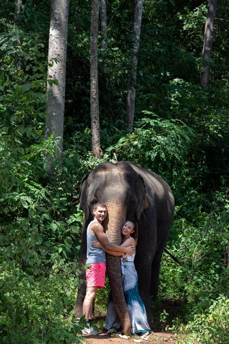 ELEPHANT EXPERIENCE - Chiang Mai Elephant Friends