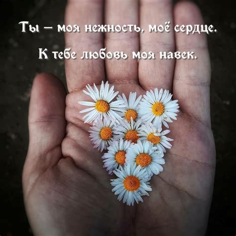 Картинки с надписью - Ты — моя нежность, моё сердце. К тебе любовь моя ...