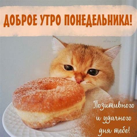 Открытка Доброе утро Понедельника!