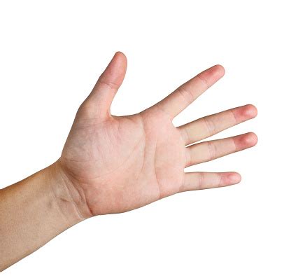 pergelangan tangan  tangan diisolasi  latar belakang putih foto