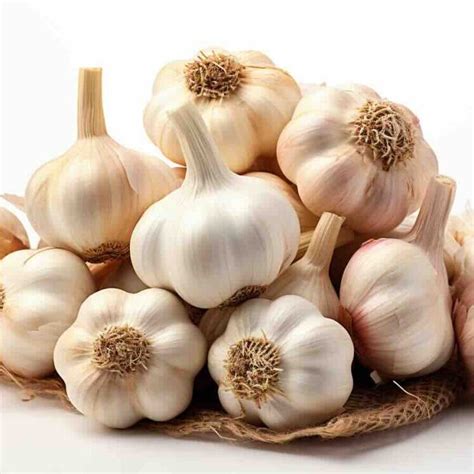 Garlic – Juice-N-Chew