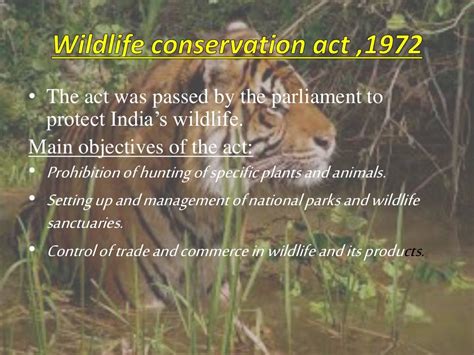 Wildlife conservation and its benefits