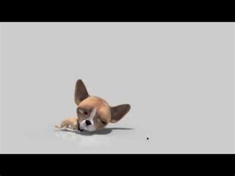 Чихуахуа. прикольный мульт - YouTube