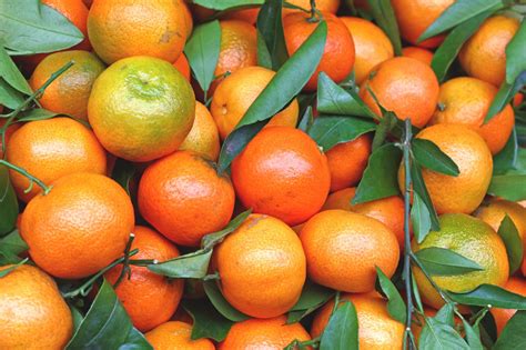 mandarin fruit