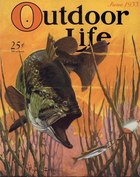 The Best Outdoor Life Covers Through the Decades | Outdoor Life