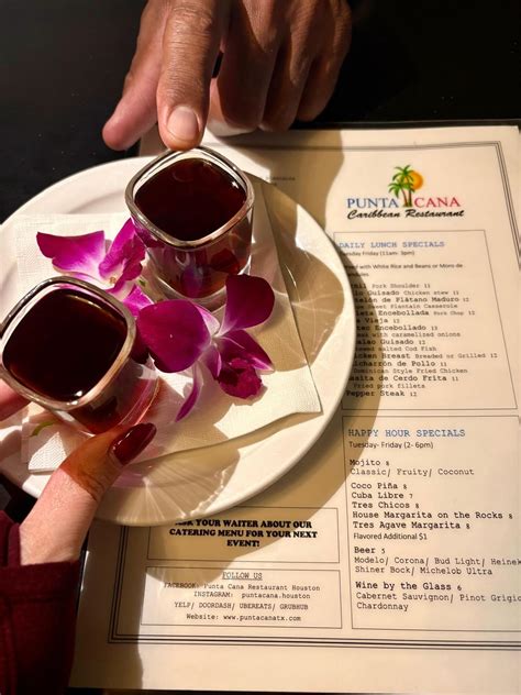 Punta Cana Restaurant Houston | Houston TX