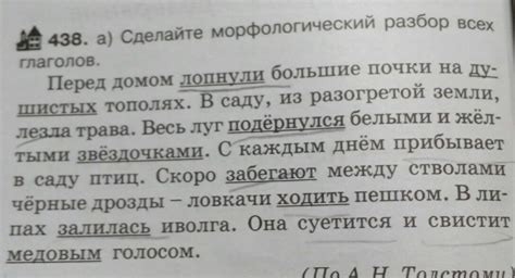 сделайте морфологический разбор всех глаголов - Школьные Знания.com
