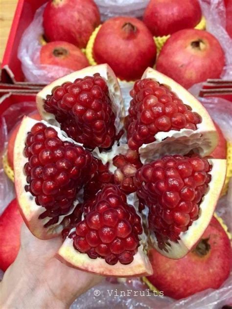 luu hat mem shop hoa qua sach dac san  mien