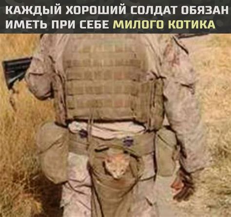 Андрей Трофимов | ВКонтакте