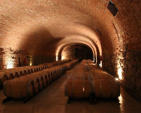 THE 10 BEST Mendoza Wineries & Vineyards (with Photos)