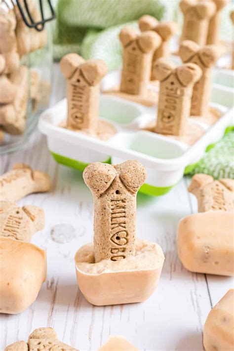 Easy Homemade Dog Ice Cream Recipe - Shugary Sweets