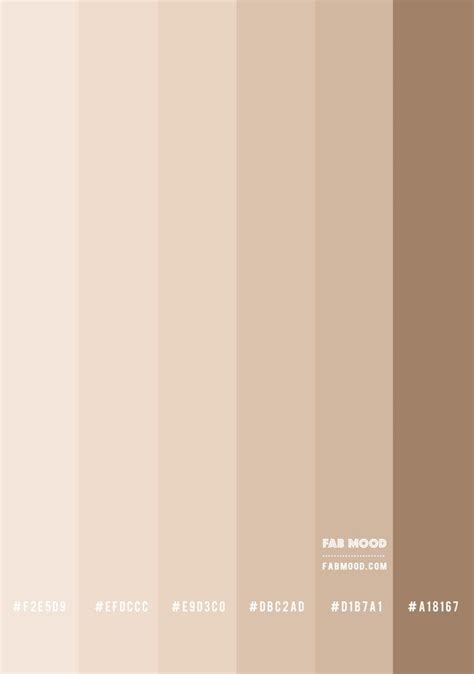 Beige color combo – colour palette 141 – Artofit