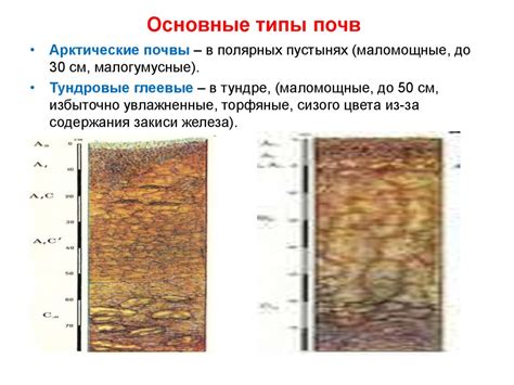 Почвы. Почвоведение - презентация онлайн