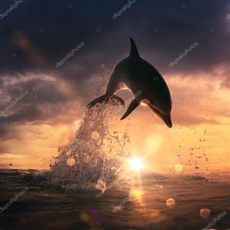Beautiful dolphin jumping — Stock Photo © vitaliy_sokol #51225781