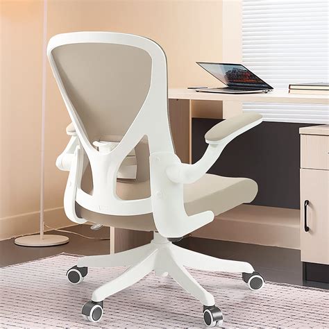 SICHY AGE Office Chair Ergonomic Office Chair Tilt Function Adjustable