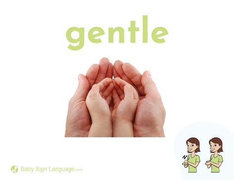 teach gentle hands