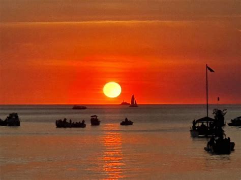 Australia Travel Advice - Berry Springs Farmstay