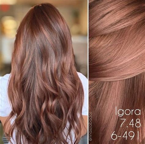 Tono Chocolate igora | Cores de cabelo, Cor de cabelo ruivo, Inspiração ...