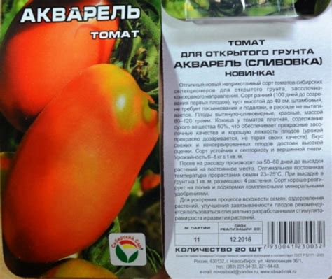Томат Акварель: описание сорта, фото, отзывы