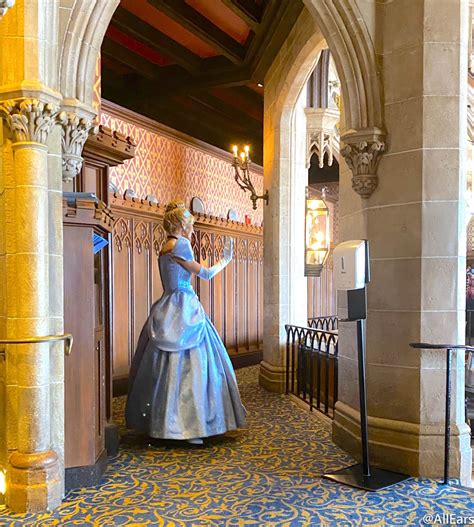 SURPRISE! You DO Still Get to See This Princess at Cinderella's Royal ...