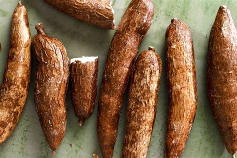 The Pooch's Perfect Patty