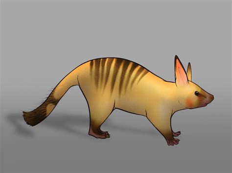 The Rise: The “Pikachu” : r/SpeculativeEvolution