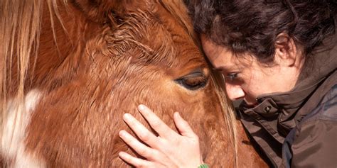 Equine Therapy Near Me - Heroes' Mile Veterans Recovery Center