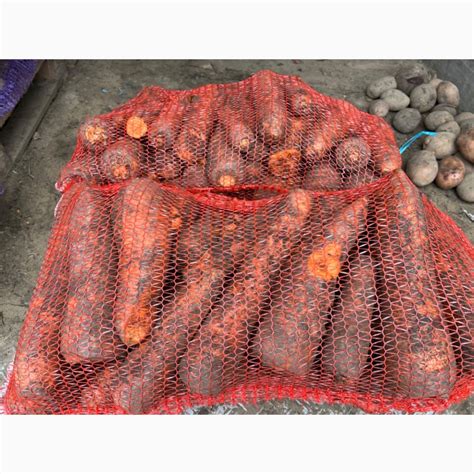Продам морковку, купить морковку, Киев — Agro-Ukraine