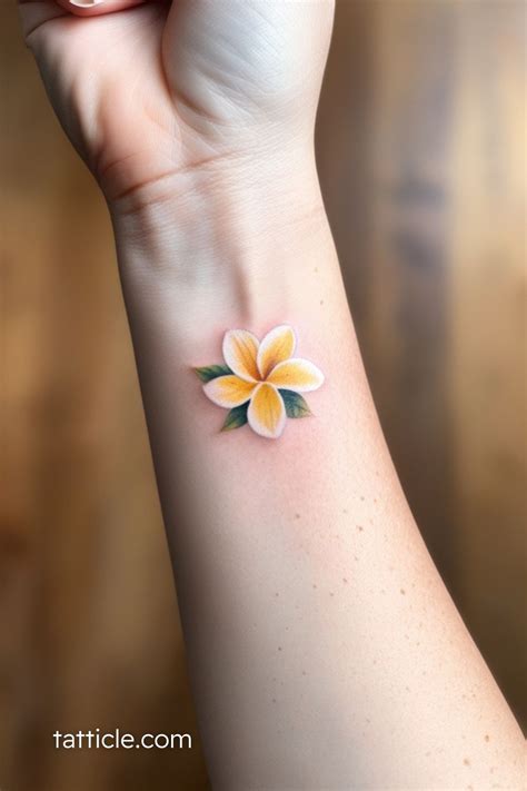 plumeria tattoo meaning stunning ideas      tatticle