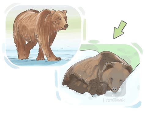 Definition & Meaning of "Hibernate" | LanGeek