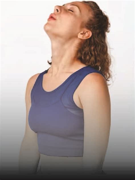 neck exercises  fix  posture