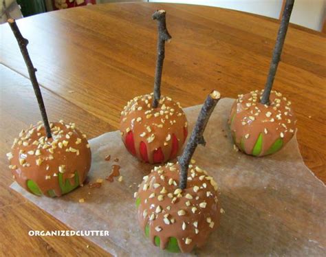 Pin on Thanksgiving/ Pilgrims/Turkeys/Recipes/Decorations