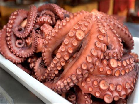 Octopus Nutrition Facts - Eat This Much