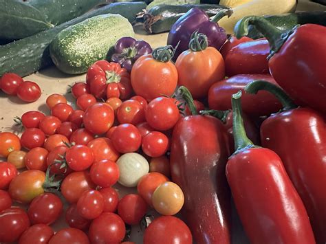 Alliance of Sustainable Farms