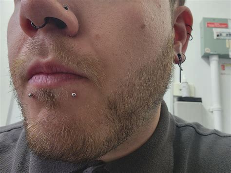 Snake bite healing : r/piercing