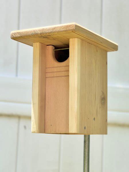 Gillwood Bluebird Nest Box - Exclusive | Eco Friendly Digs