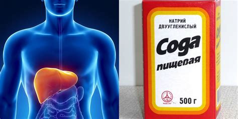 Фосфоглив инструкция по применению, Фосфоглив цена - couberefi